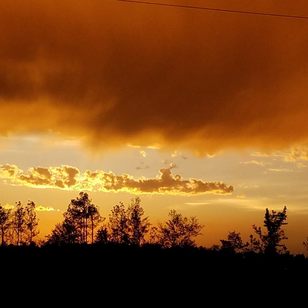 Meet your Posher, Karla